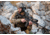 Man in Military Gear with a Suppressor on his Rifle