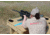 Woman shooting a rifle at a long-distance shooting range