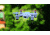 Hubsan FPV RC Quadcopter, White 61150