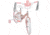 Huffy Princess Celebration Kids Bike - Girls, Pink/White, 16 in, 21971