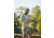 HUK Performance Fishing And Bars Trucker Hat - Mens