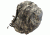 Humvee Day Pack, Digital Camo HMV-GB-02DC