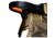 Hunter Safety System Defender Saddle, One Size Fits Most, 1502767