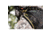 Hunter Safety System Guardian Saddle, One Size Fits Most, 1502768