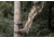 Hunter Safety System Legend Platform, 1502769