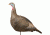 Hunters Specialties 07600 Suzie Snood Turkey Decoy W/ Dual Position Stake
