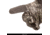 Huntworth Decatur Light Weight Hybrid Windproof/DWR Hunting Glove - Mens, Tarnen, Large, E-1365-TRN-L