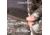 Huntworth Ames Light Weight Soft Shell Glove w/ 1/2 Fingers - Men's, Tarnen, Large, E-1471-TRN-L