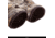 Huntworth Macomb Mid Weight Fused Waterproof Hunting Glove - Mens, Disruption, Large, E-1399-DC-L