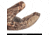 Huntworth Seward Hunting Classic Glove - Womens, Hidden, Medium, E-1005-L-HDN-M