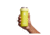 Hydro Flask 12 Oz Slim Cooler Cup, Cactus, 12 oz, KS12752