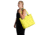 Hydro Flask 20L Insulated Tote, Cactus, 20L, GT20752