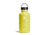 Hydro Flask 64 Oz Wide Flex Cap, Cactus, 64 oz, W64BTS752