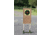 Hyskore Target Hound Target Stand, Od Green, 30291