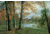 iCanvas A Quiet Pond by Albert Bierstadt Canvas Print, Multi, 18x12 ABS1-1PC3-18x12