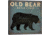 iCanvas Old Bear By Ryan Fowler Canvas Print, Multi, 37x37x0.75 WAC1138-1PC3-37x37