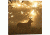 iCanvas Ghost Of The Forest by Greg Morgan Canvas Print, 26 x 26 OXM640-1PC3-26x26