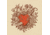 iCanvas Heart of Thorns by Terry Fan Canvas Print, Multi, 37x37x0.75 TFN108-1PC3-37x37