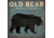 iCanvas Old Bear By Ryan Fowler Canvas Print, Multi, 37x37x0.75 WAC1138-1PC3-37x37