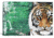 iCanvas Tiger by Piero Manrique Canvas Print, Multi, 12 x 18 PIE59-1PC3-18x12