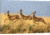 iCanvas Tripple Jump by verdon Canvas Print, 18 x 26 OXM1043-1PC3-26x18