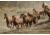 iCanvas Western Ranch Wild Mustangs Canvas Giclee Art Print, Multi, 40x26x0.75 51-1PC3-40x26