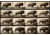 iCanvas Buffalo Running, Animal Locomotion Plate 700 Canvas Print, Multi, 40x26x0.75 PCA459-1PC3-40x26