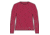 Icebreaker 125 ZoneKnit Long Sleeve Energy Wind T-Shirt - Women's, Electron Pink, Large, IB0A56SO851L