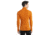 Icebreaker 175 Everyday Long Sleeve Half Zip Thermal Top - Men's, Earth, Medium, IB104484865M