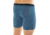 Icebreaker Anatomica Long Boxers - Mens, Thunder/Black/Stripe, M, 103055409M