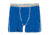 Icebreaker Anatomica Relaxed Boxer with Fly - Men's-Pelorus/White-Large