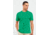 Icebreaker Tech T Lite Short Sleeve - Men's-Lucky-Medium