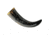 India Made Viking Drinking Horn PA230981