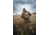 Insights Hunting The Drifter Super LightDay Pack, Realtree Edge, 9305