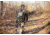 Insights Hunting The Element Lightweight Day Pack, Realtree Edge, 9301