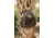 Insights Hunting The Element Lightweight Day Pack, Realtree Excape, 9304
