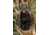 Insights Hunting The Element Lightweight Day Pack, Realtree Excape, 9304