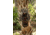 Insights Hunting The Element Lightweight Day Pack, Realtree Excape, 9304