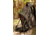 Insights Hunting The Element Lightweight Day Pack, Realtree Timber, 9303