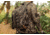 Insights Hunting The Element Lightweight Day Pack, Realtree Timber, 9303