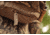 Insights Hunting The Element Lightweight Day Pack, Realtree Timber, 9303