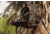 Insights Hunting The Element Lightweight Day Pack, Realtree Timber, 9303