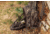 Insights Hunting The Element Lightweight Day Pack, Realtree Timber, 9303