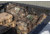 Insights Hunting The Traveler XL Gear Bag, Realtree Edge, 9402
