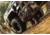 Insights Hunting The Traveler XL Gear Bag, Realtree Edge, 9402