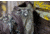 Insights Hunting The Vision Bow Pack, Realtree Excape, 9103