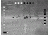 IR Defense IR Patrol M300W Thermal Weapon Scope Weapon-Mounted Thermal Monocular,60hz,640x480 IR000P3W