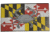 IR.Tools MD Crab Garrison Patches, Multi-color, 3.5X2in, P-0131-20-002-PK