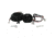 Jabsco Control Kit f/63022-0012 Second 32144