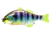 Jackall Lures Jackall Gantarel JR Segmented Swimbait, 5ft, 1 1/2oz, Floating, Scale Gill, JGANTJR-SCG